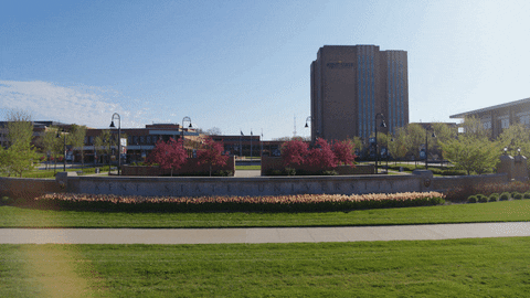 Kent State College GIF by Kent State University