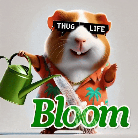 Flowers Spring GIF by Guinea Gambino