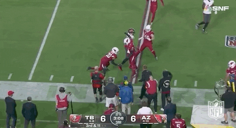 Arizona Cardinals Football GIF by NFL