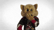 Arizona Coyotes Sport GIF by NHL