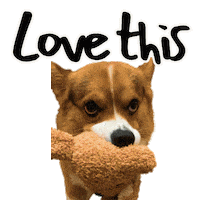Corgi Love Sticker