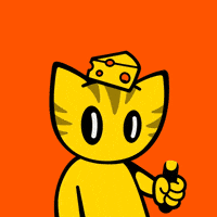 Star Wars Cat GIF by Pizza Ninjas