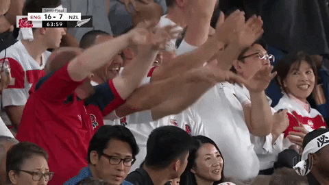 Party England GIF by Rugby World Cup