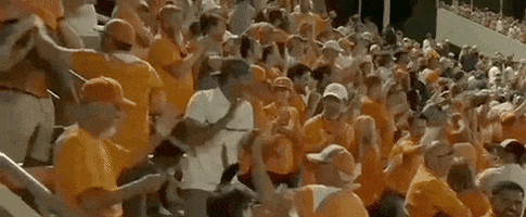 World Series Baseball GIF by NCAA Championships