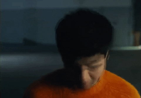 GIF by 5 Seconds of Summer
