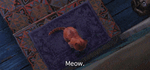 Trust Me Love GIF by Puss In Boots