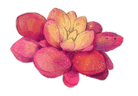 stiftungsolina kinderbuch solina steffisburg stiftungsolina Sticker