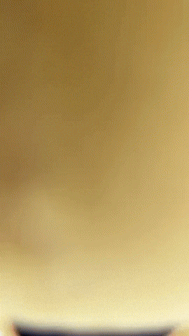 Zoom Hello GIF by Youtooz