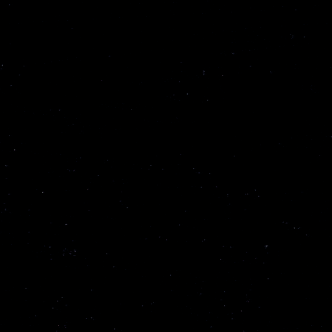 Goal Hockey GIF by Eisbären Berlin