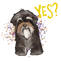 Nash Sticker