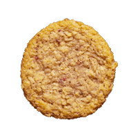 SNACKZILLA kids healthy cookies snacks Sticker