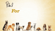 Tv Show Love GIF by MultiStory Media
