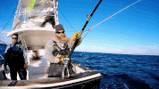 GIF by National Geographic Channel