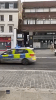 London Police Arrest Streaker