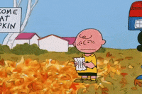 Charlie Brown Halloween GIF by Peanuts