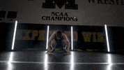 Ncaa Hawks GIF by Mizzou Athletics