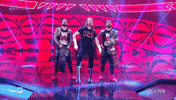 Sport Wwe GIF by USA Network