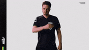 Gg Ferrou GIF by MIBR
