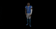 Football Sport GIF by Detroit Lions