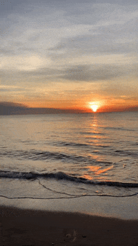 Water Life GIF by Nova Sound
