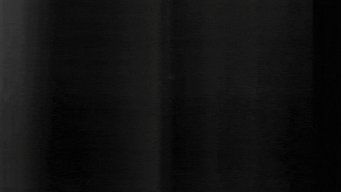 Football Sport GIF by SK Sturm Graz