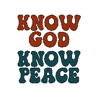 BeelissaDesigns retro peace god know god Sticker