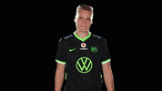 E Sports Sport GIF by VfL Wolfsburg