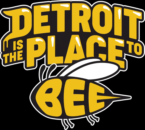 DetroitHives giphyupload bee detroit bees GIF