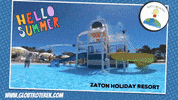 Globtroterek summer croatia swimmingpool wakacje GIF