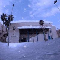 GIF by Club Melilla Baloncesto