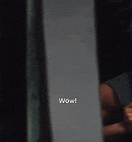 Wow GIF