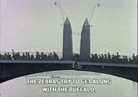 bridge talking GIF by South Park 