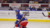 Ohlrangers GIF by Kitchener Rangers Hockey Club