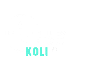 Koli Sticker by Vibe Festival