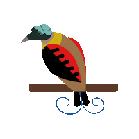 Bird Of Paradise Sticker by BirdLife International