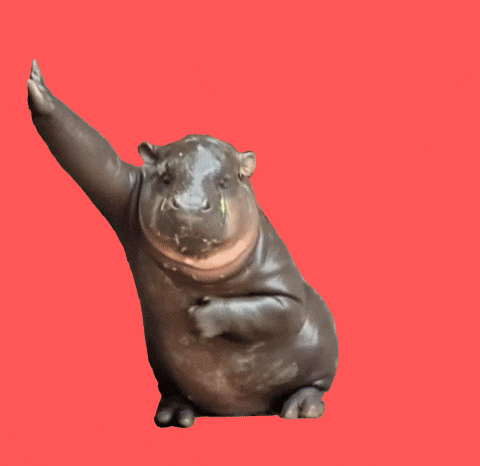 Happy Dance GIF