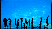 Nbc GIF by America's Got Talent
