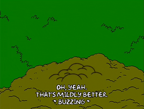 episode 17 buzz GIF