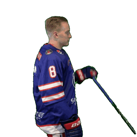 8 Sticker by VIF Hockey