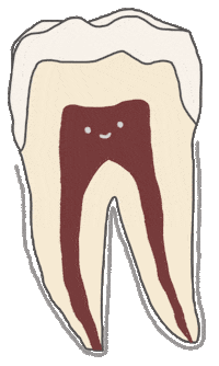 Teeth Tooth Sticker