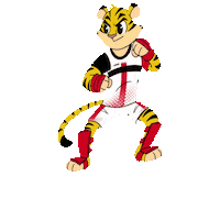 Super Cup Mma Sticker by BRAVE Combat Federation
