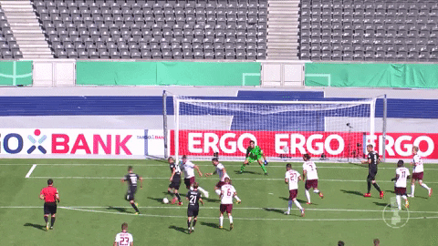dominick drexler celebration GIF by 1. FC Köln