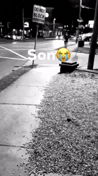 Son GIF