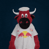 Football No GIF by FC Red Bull Salzburg