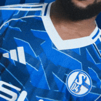Football Soccer GIF by FC Schalke 04