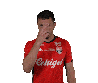 Ligue 2 Football Sticker by EA Guingamp