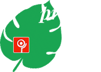 summer itaguacu Sticker by Shopping Itaguaçu