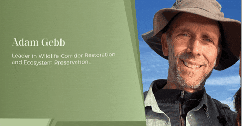 adam-gebb giphygifmaker GIF