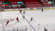 hockeyplayersclub hockey nhl andrei svechnikov carolina hurricans GIF