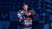 Celebration Hockey GIF by Iserlohn Roosters